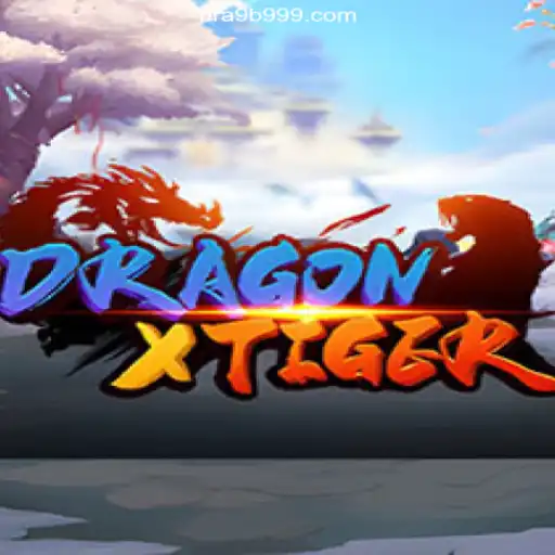 Exploring DragonXTiger: The Thrilling New Game Awaits